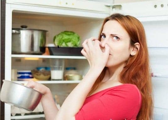 Mua Sắm Điện Máy Giá Rẻ Tại Điện Máy Đất Việt