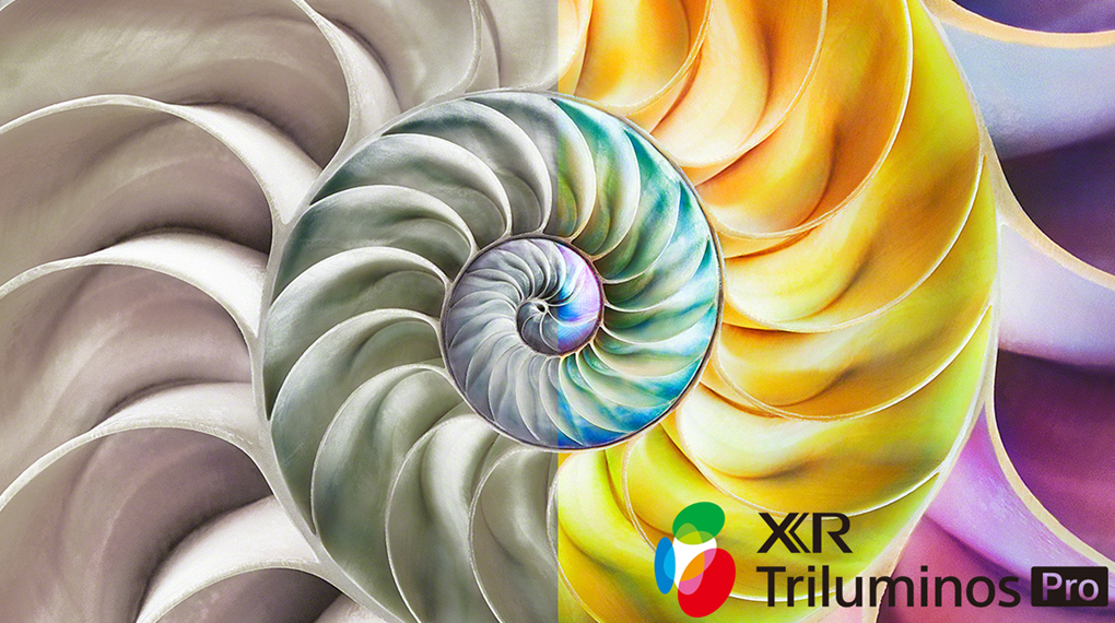 Google Tivi OLED Sony 4K 77 inch 77A80L - XR Triluminos Pro Google Tivi OLED Sony 4K 77 inch 77A80L - XR Triluminos Pro