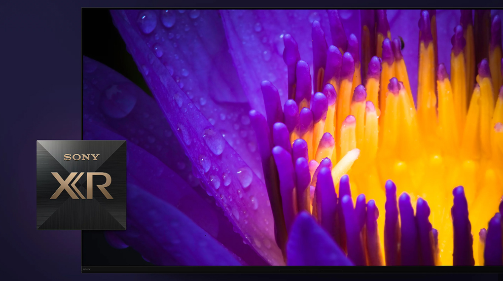 Google Tivi OLED Sony 4K 77 inch 77A80L - Bộ xử lý trí tuệ nhận thức XR Cognitive Google Tivi OLED Sony 4K 77 inch 77A80L - Bộ xử lý trí tuệ nhận thức XR Cognitive