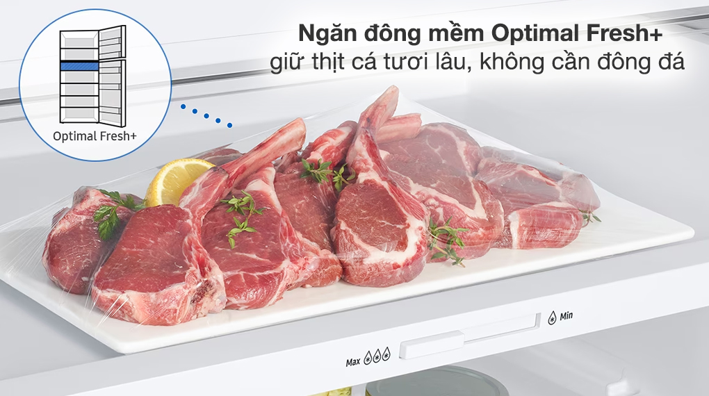 Tủ lạnh Samsung Inverter 460 lít RT47CB66868ASV - Ngăn đông mềm Optimal Fresh+ Tủ lạnh Samsung Inverter 460 lít RT47CB66868ASV - Ngăn đông mềm Optimal Fresh+