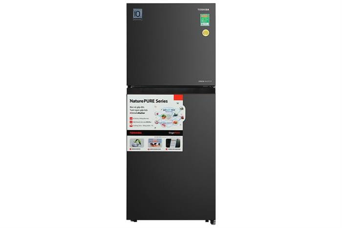 Tủ lạnh Toshiba Inverter 207 lít GR-RT268WE-PMV-00 (1)