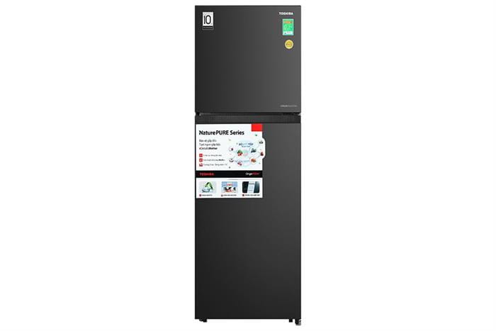 Tủ lạnh Toshiba Inverter 271 lít GR-RT349WE-PMV-00 (1)