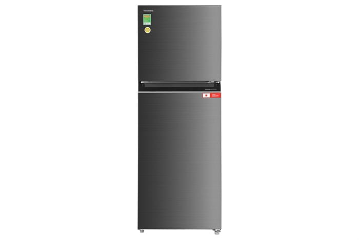 Tủ lạnh Toshiba Inverter 312 lít GR-RT416WE-PMV-00 (1)